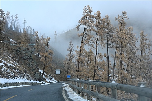 新疆阿勒泰地区山区路上野外风光冬季冬天公路树林雪景