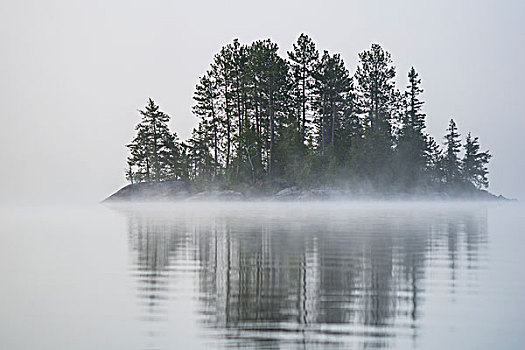 小岛,树,雾,安大略省,加拿大