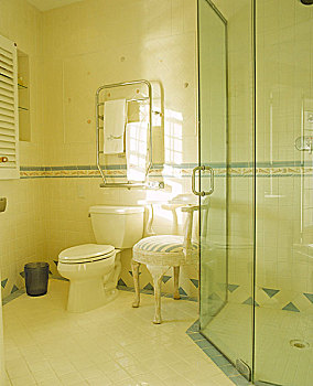 浴室,墙壁,白色,卫生间,蓄水池,椅子,玻璃,淋浴,铬合金,毛巾架,暖气,垃圾箱,室内,现代,小间,围挡,贴砖,边缘,卢浮宫,百叶窗,地面