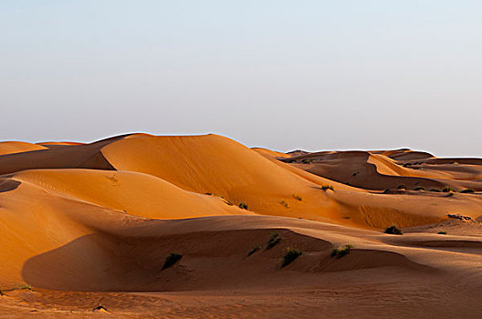 瓦希伯沙漠,荒芜,阿曼