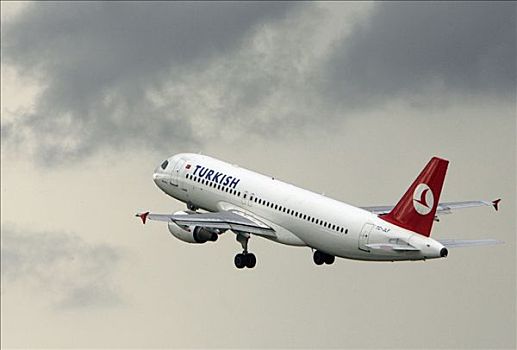 土耳其,航空公司,飞机,空中
