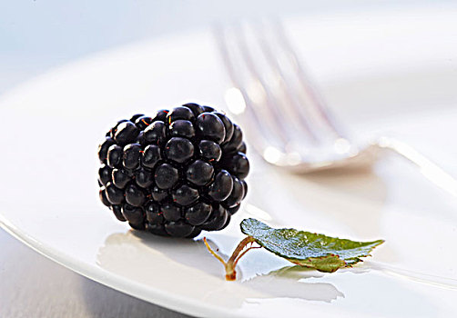 黑莓,叶子,盘子
