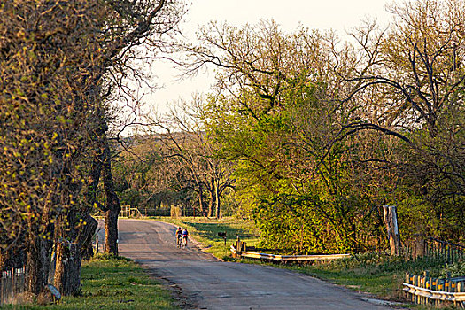 道路,骑自行车,空路,德克萨斯,丘陵地区,靠近,弗雷德里克斯堡,美国