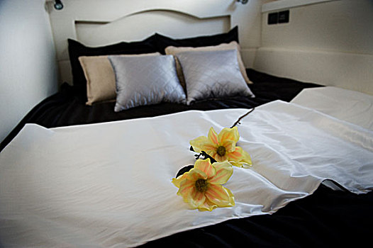 游艇,卧室,枕头,花