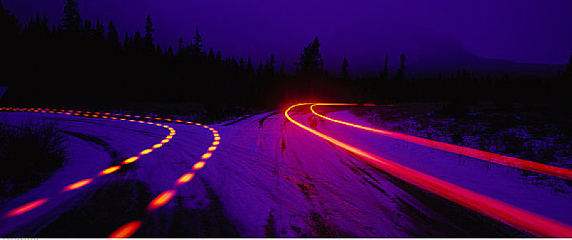 光影,途中,冬天,弓谷省立公园,艾伯塔省,加拿大