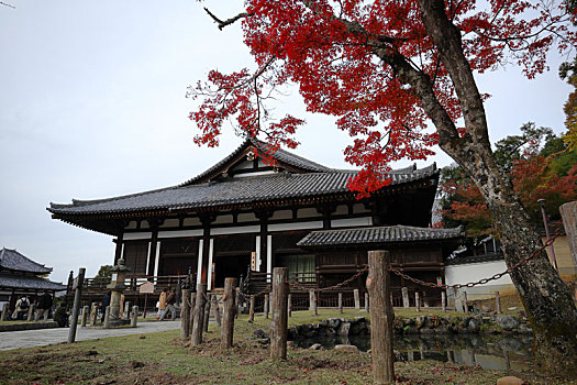 日本奈良三月堂