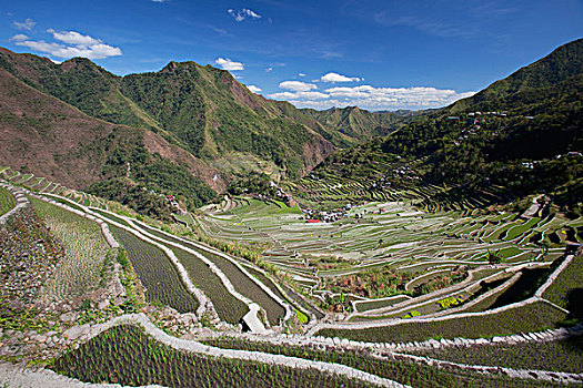 伊富高省,稻米梯田,围绕,北方,吕宋岛,菲律宾