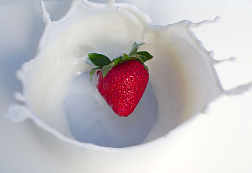 草莓,溅,奶昔,奶油,酸奶,牛奶,乳制品
