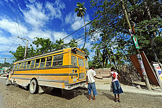 haiti,port,au,prince,yellow,school,bus,in,front,of,palm,trees