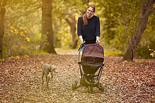 中年,母亲,推,婴儿车,遛狗,秋天,公园