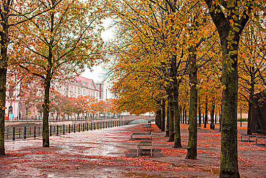 德国柏林,河堤边的古老建筑,美丽枫红,是旅游欧洲的好时间