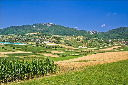 山,农业,绿色,风景