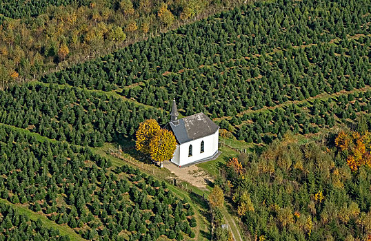 小教堂,秋天,金色,十月,深秋,藻厄兰,北莱茵威斯特伐利亚,德国