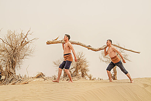 新疆,沙漠,男人,扛木头