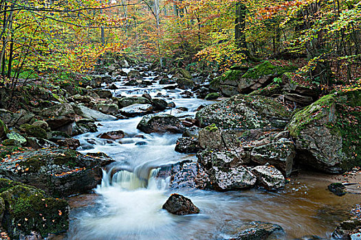 河流,秋天,哈尔茨山,国家公园,萨克森安哈尔特,德国,欧洲