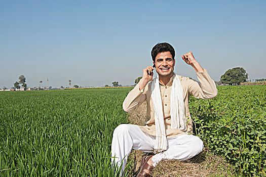 农民,交谈,手机,土地,印度