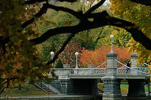 桥,正规花园,波士顿公共公园,波士顿,马萨诸塞,美国