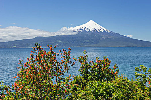 火山,正面,波多黎各,拉各斯,区域,智利,南美