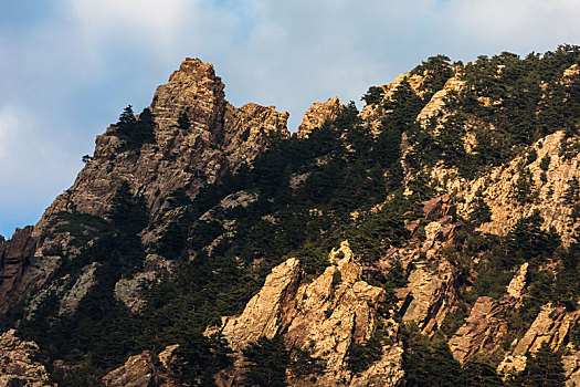 峪口,森林公园