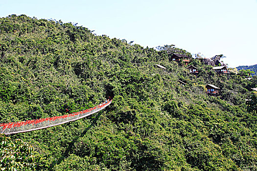 海南省三亚市热带天堂森林公园风光