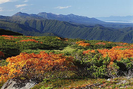 秋叶,十胜岳山