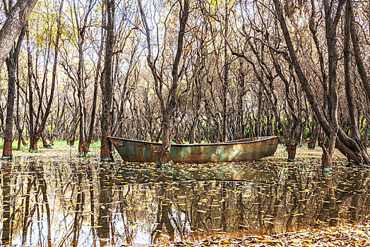 湿地中的小铁船