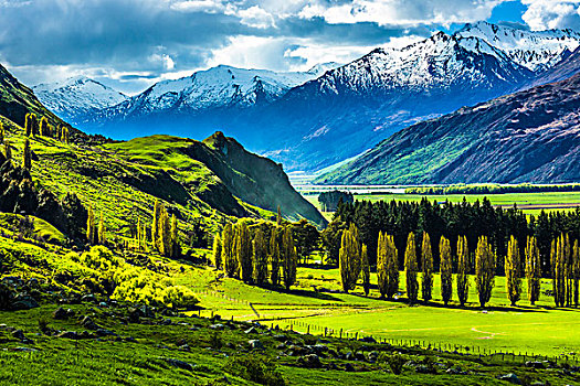 农田,山,靠近,滑雪区,湾,奥塔哥地区,新西兰