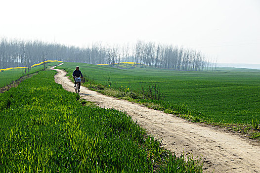 乡间小路