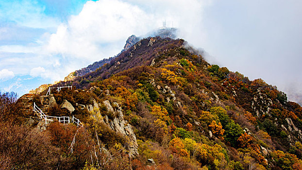 百花山