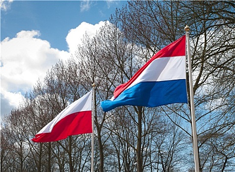 荷兰人,波兰,旗帜
