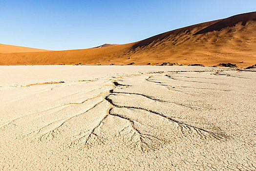 水脉,干燥,土地,死亡谷,索苏维来地区,纳米比亚,非洲