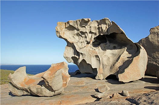 石头,追逐,国家公园,袋鼠,岛屿,澳大利亚