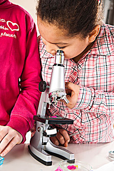 女孩,看,花,显微镜,教室,巴登符腾堡,德国