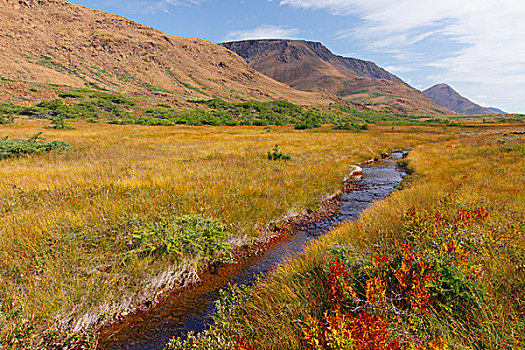 河流,草地,高原,区域,格罗莫讷国家公园,纽芬兰,加拿大
