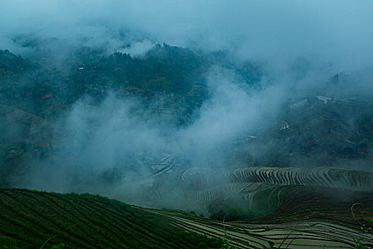 梯田美景