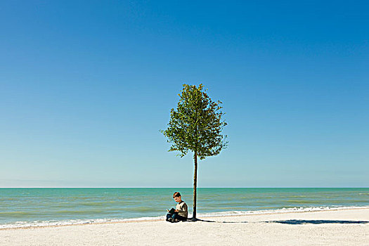 男孩,读,书本,树下,海滩