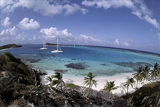 多巴哥岛,石榴汁糖浆,岛屿,加勒比海