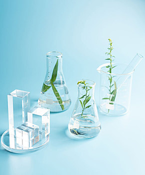 医疗及实验,科学研究中经常使用的玻璃器皿