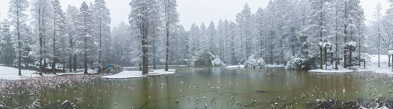 武汉冬日雪景风光