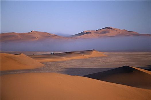 雾,沙丘,靠近,纳米布沙漠,纳米比亚