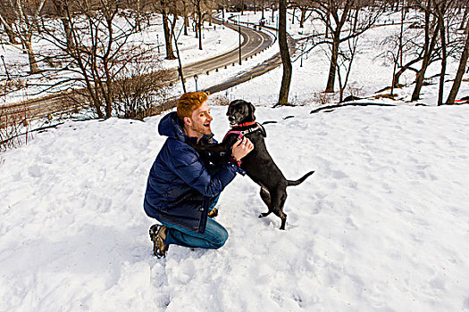 男青年,爱抚,狗,雪,中央公园,纽约,美国
