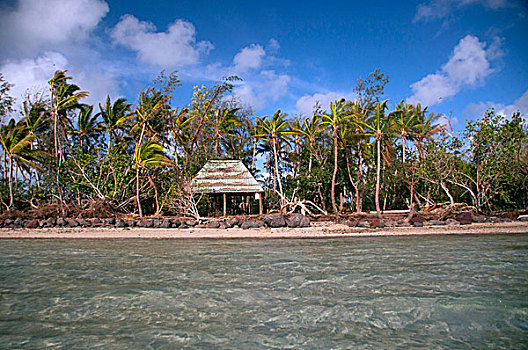 蔽护,海滩,岛屿,斐济