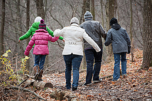 家庭,散步,树林,下雪,安大略省,加拿大