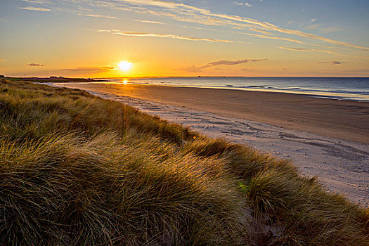 太阳,反射,沙丘草,海滩,日出,俯视,北海,诺森伯兰郡,英格兰,英国