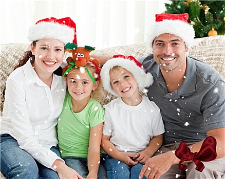 头像,幸福之家,圣诞节,帽子,坐,沙发