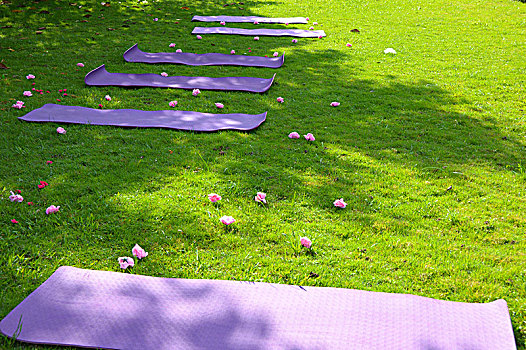 草地上的瑜伽垫