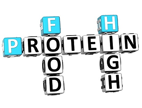 蛋白质,食物,高,填字游戏