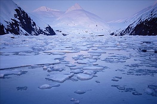 漂浮,冰,波蒂奇,湖,冬季风景,阿拉斯加