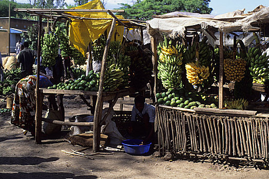 坦桑尼亚,靠近,乡村,市场一景