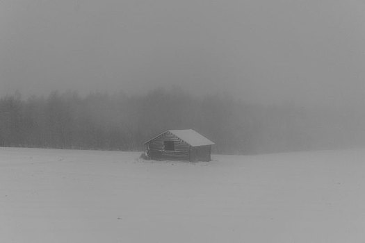 孤单,木屋,站立,雪,树林,芬兰